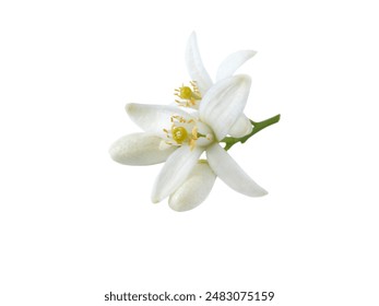 禁忌之爱：善良与金钱交织的峥嵘岁月