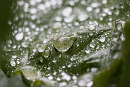 电影免费看下载：畅享最新热门影片，轻松获取无广告观影体验