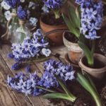 电脑磁力下载器:轻松获取影视资源的最佳选择与使用指南 6rjuliryo