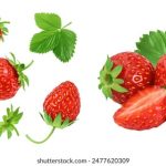 电影在线看免费 2022:畅享最新热门影片,无需付费轻松观影! 71344