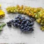 社团学秭159话林映纯:探索青春与梦想的交汇点 93rk06