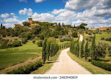 神秘电影五大路线：揭示隐藏真相的五种叙事手法