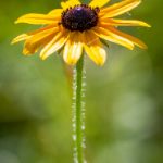 男生女生打扑克,差距究竟有多大? bqmh6uk7c