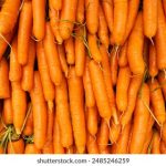 电影大全在线观看免费:畅享最新热门影片,随时随地免费观看! fr1hde