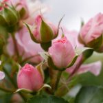 福利姬辛苦攒钱买房,结果却买到烂尾楼! j0mj0yiqy8