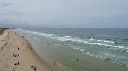 电影猎手：从漫画到银幕的精彩旅程