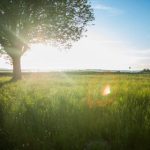 神秘入口 导航:探索未知世界的秘密通道与指引 n8x5np