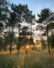 男性勃起药物的选择与使用指南