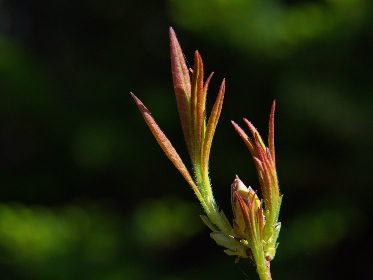 社团学姐韩漫教授：带你领略青春校园的奇幻世界
