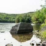 男人团VIP网站:探索男性专属社交与娱乐的新天地 wgw368ptr