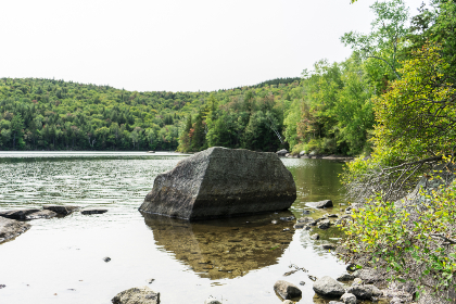 男人团VIP网站：探索男性专属社交与娱乐的新天地